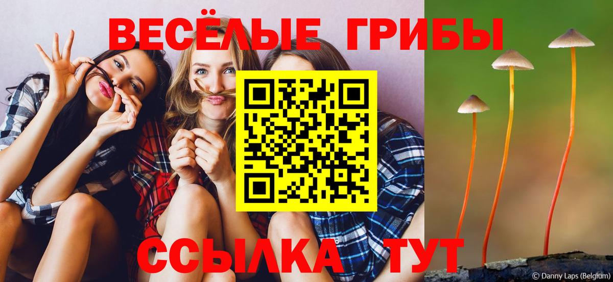 Псилоцибиновые грибы прущие грибы  Вход с VPN  Галлюциногенные грибы GOLDEN TEACHER  Артёмовский 
